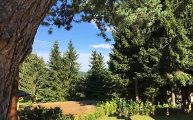 Apartmany Pinie Lipno